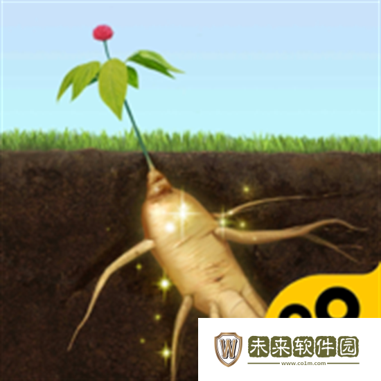 夺笋高手