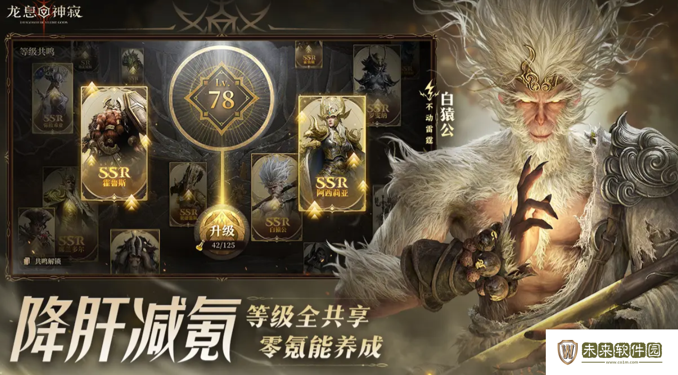 龙息神寂种族介绍!龙息神寂种族有哪些