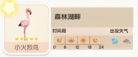 心动小镇小火烈鸟位置在哪里: