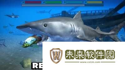 鲨鱼模拟器